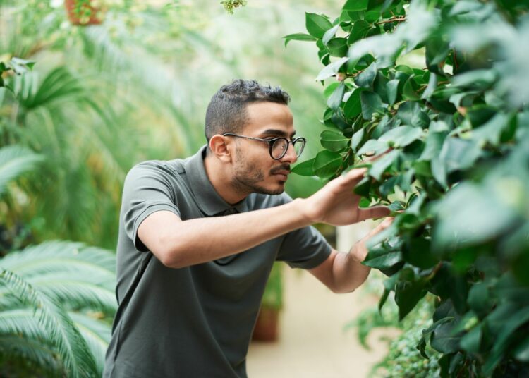 De verschillen tussen AI-sourcingtools SeekOut, HireEZ, HiringSolved en Recruit Robin