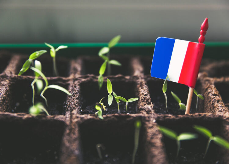 5 recruitmenttech start-ups uit Frankrijk (en 2 vreemde eenden in de bijt)