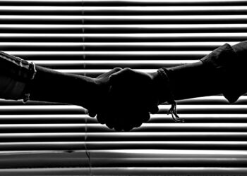 Validata overgenomen door Amerikaans screeningsbedrijf DISA