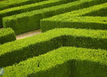 10 valkuilen bij de implementatie van een recruitmentsysteem