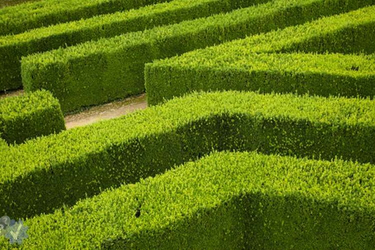 10 valkuilen bij de implementatie van een recruitmentsysteem
